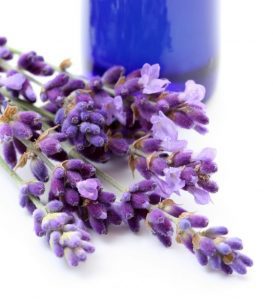 stress relief lavender oil