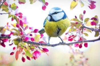 Spring Self Care ideas