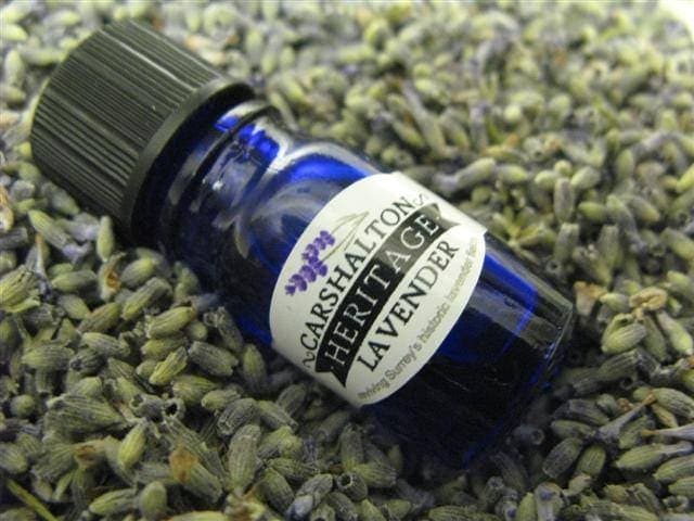 Carshalton Lavender essential oil - Image 3